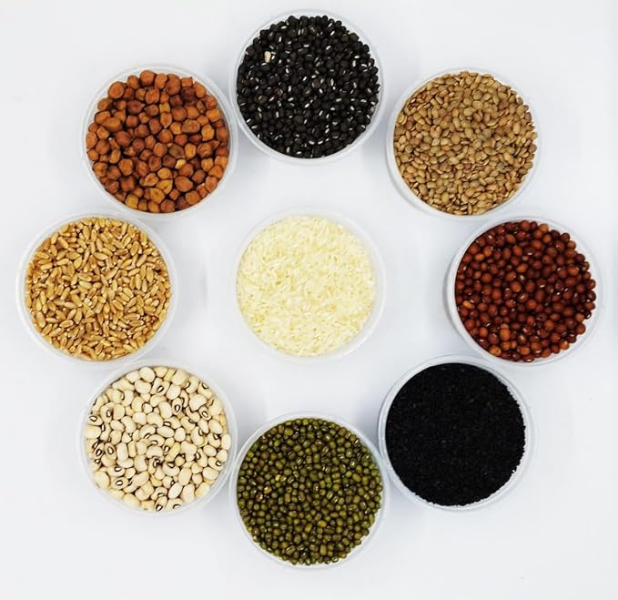 Navadhanya 9 Grain Set for Pooja / Navagraha Kalu - Basaveshwarapoojabhandara.com