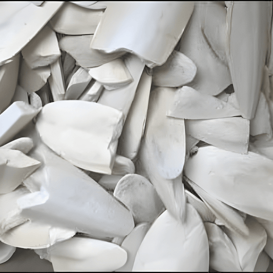 Samudra Nore - Basaveshwarapoojabhandara.com