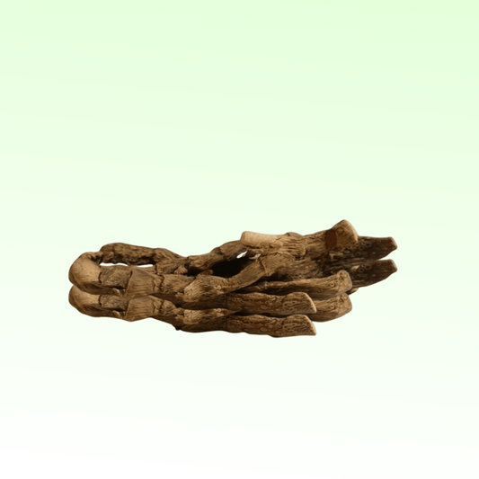 Acorus Calamus Root (Vacha / Baje) – Sacred Homam & Pooja Samagri - Basaveshwarapoojabhandara.com