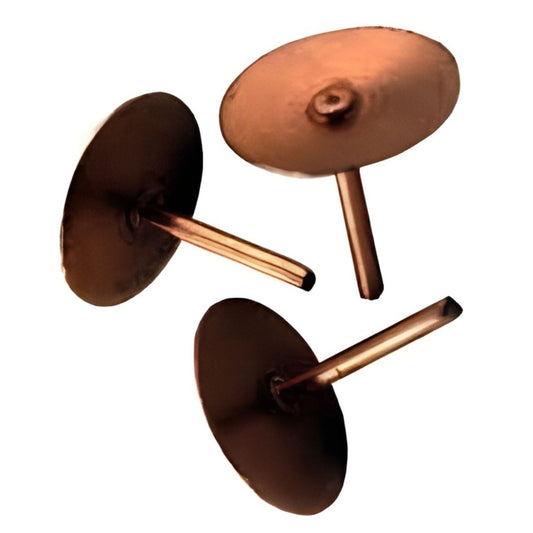 Vastu Copper Nails & Energy Discs(kasu mole) - Basaveshwarapoojabhandara.com