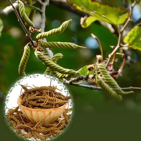 Yadamuri Balamuri - Basaveshwarapoojabhandara.com