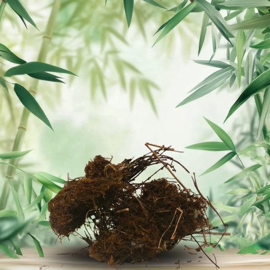 Tamra Shake - Basaveshwarapoojabhandara.com