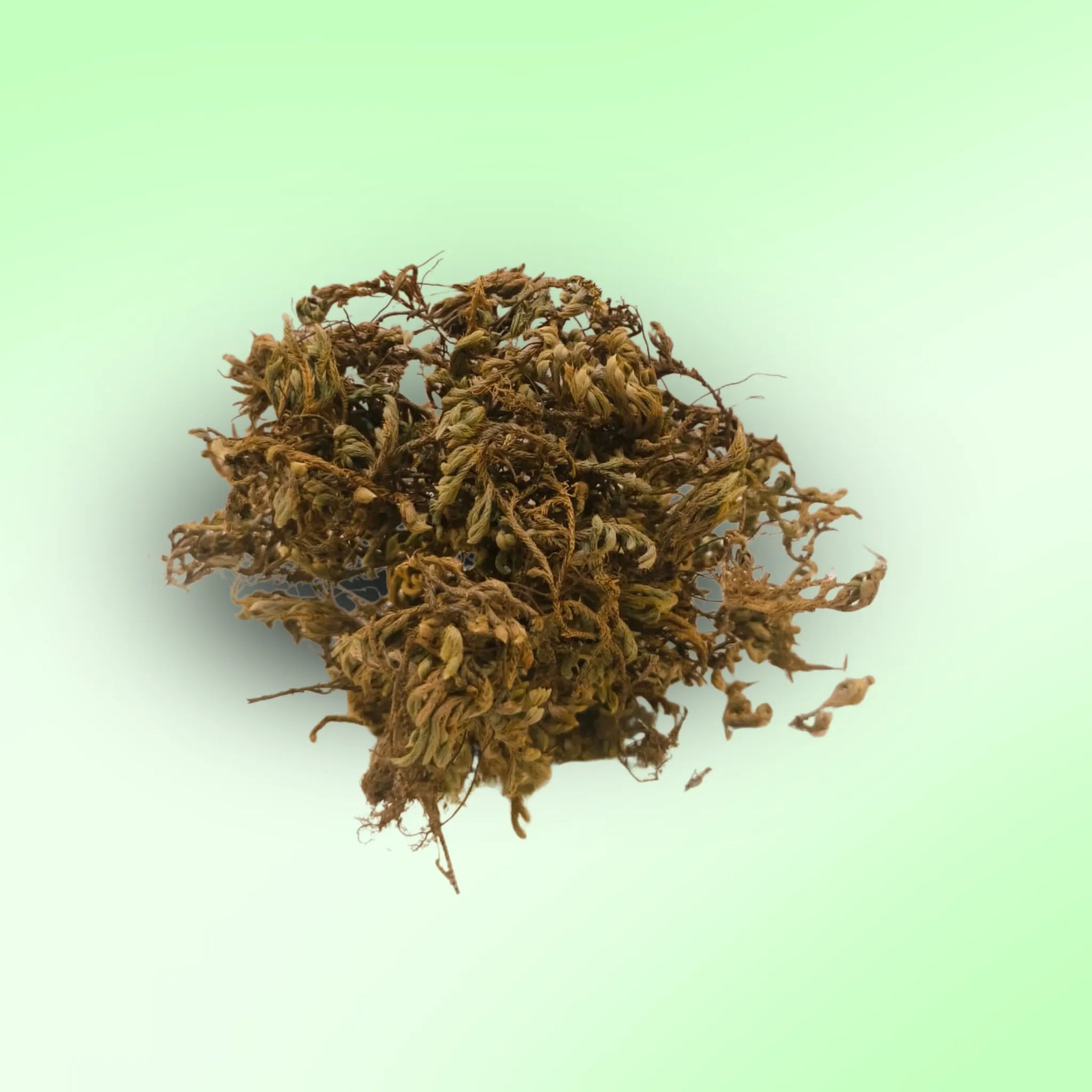 Garuda Shake - Basaveshwarapoojabhandara.com