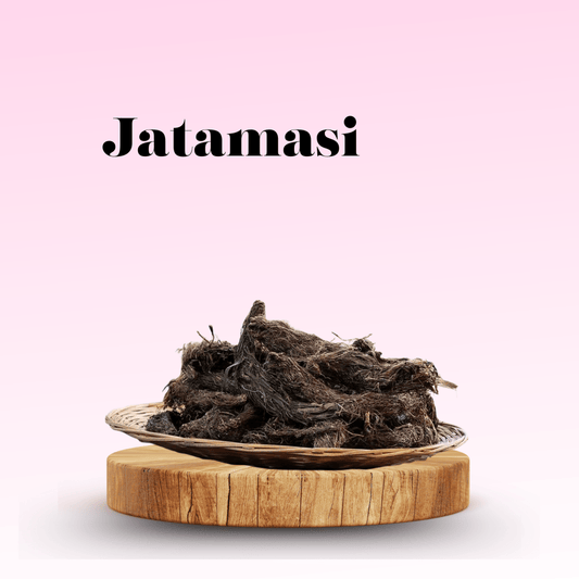 Jatamansi Roots (Spikenard Root) - Basaveshwarapoojabhandara.com