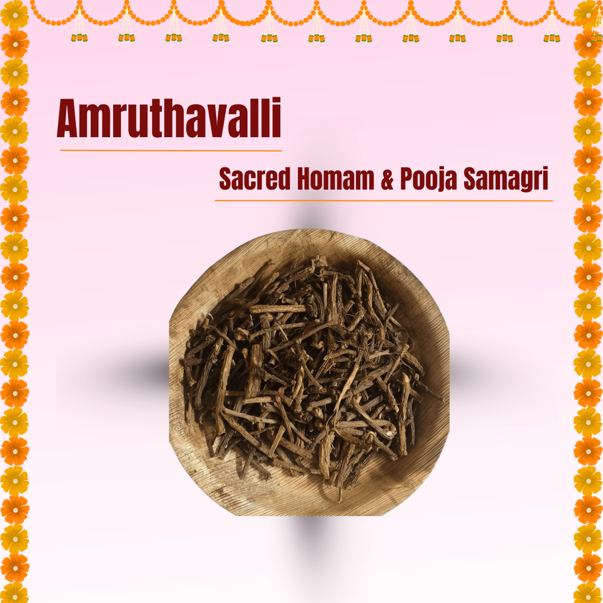 Giloy Stick Dry/Guduchi/Gulvel Stem/Amruthavalli podi/Tinospora cordifolia - Basaveshwarapoojabhandara.com