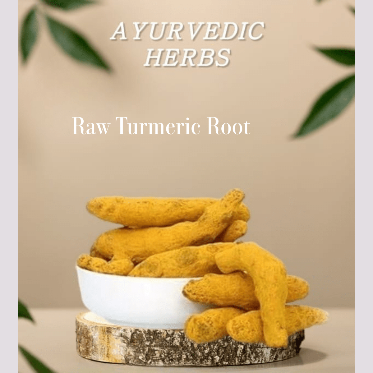 Arasin Kombu (Raw Turmeric Root) - Basaveshwarapoojabhandara.com