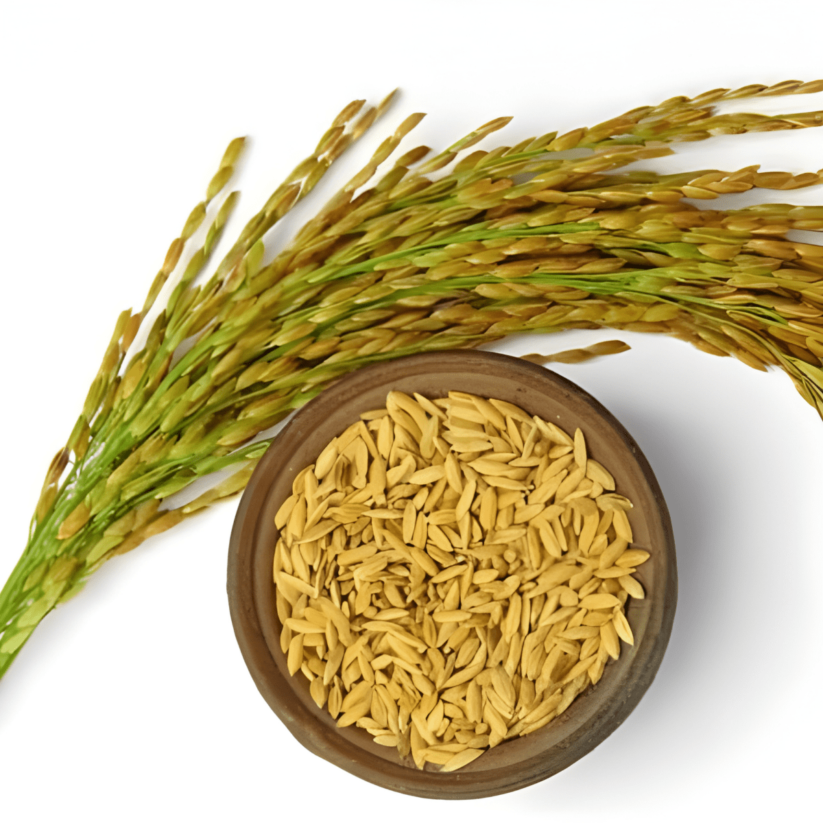 Bhatta/Nellu/ (Paddy Grains) - Basaveshwarapoojabhandara.com