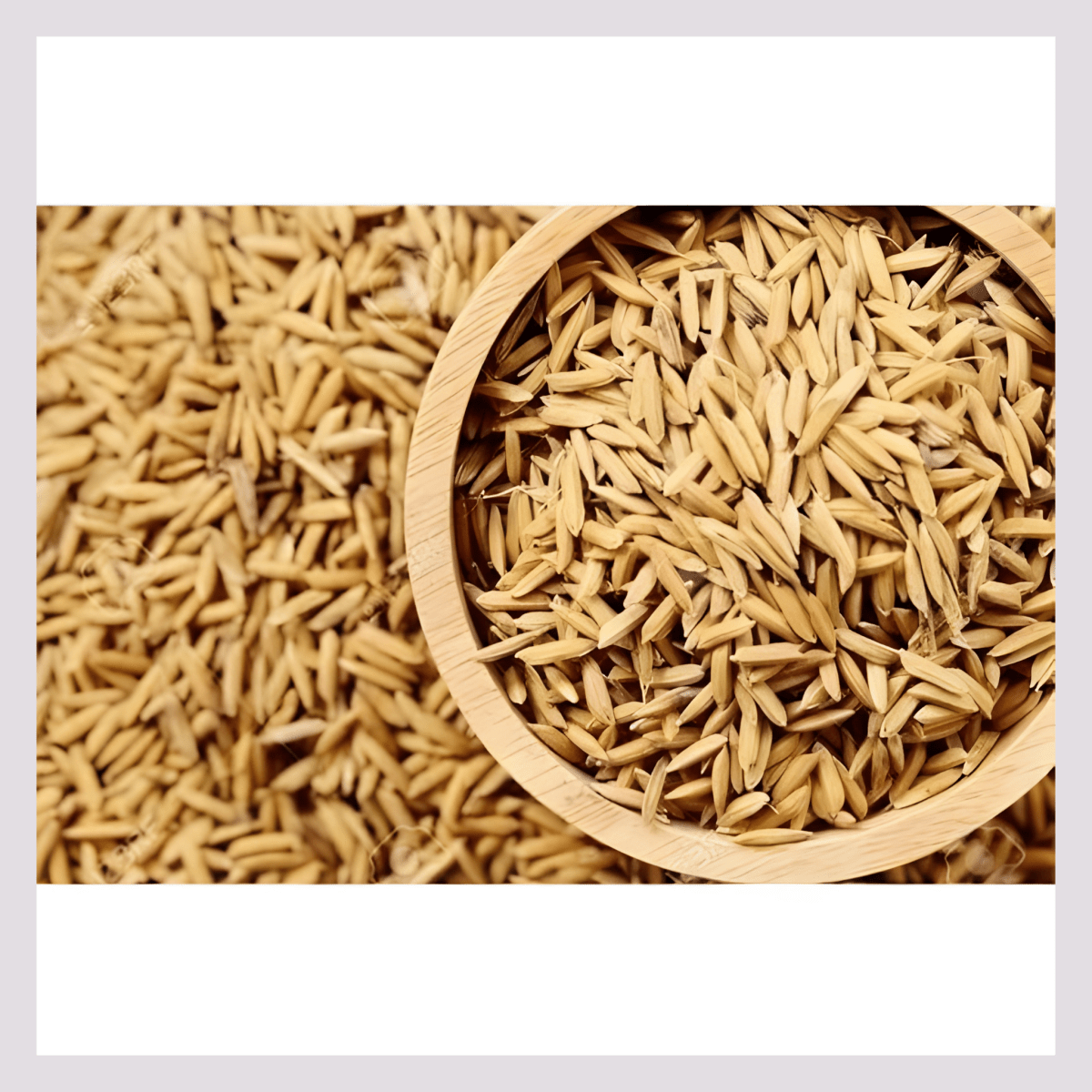 Bhatta/Nellu/ (Paddy Grains) - Basaveshwarapoojabhandara.com