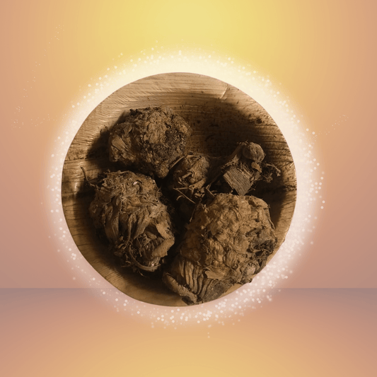 Kari Arishina Beru (Black Turmeric Root) - Basaveshwarapoojabhandara.com