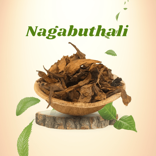 Nagabuthali (Naga Pooja & Homam) - Basaveshwarapoojabhandara.com