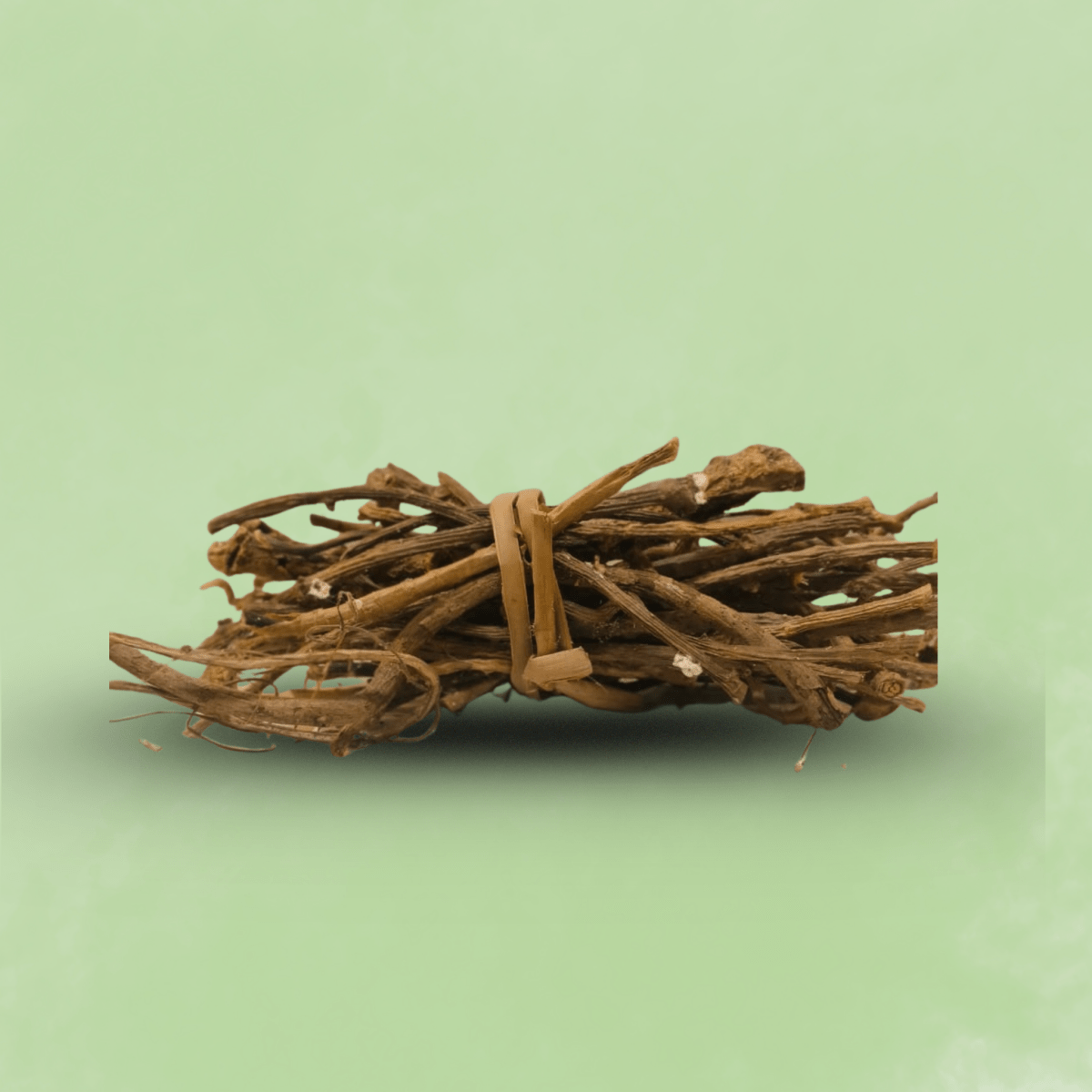 Amruta Balli (Tinospora cordifolia) [100sticks] - Basaveshwarapoojabhandara.com