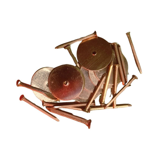 Vastu Copper Nails & Energy Discs(kasu mole) - Basaveshwarapoojabhandara.com