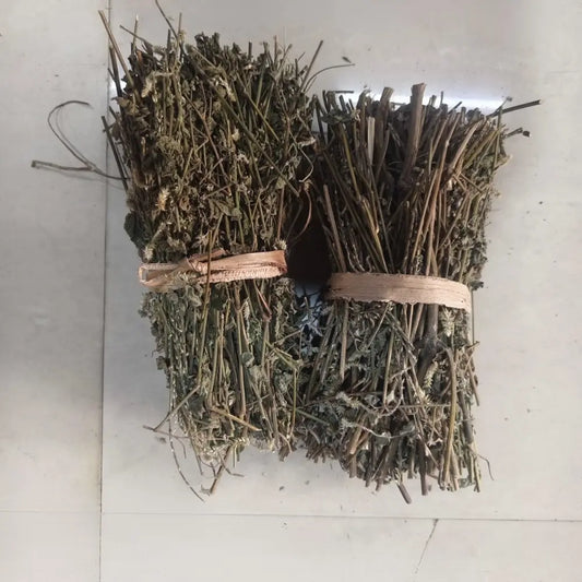 Uttarani Kaddi/Apamarga (Sanskrit) [1 katta]