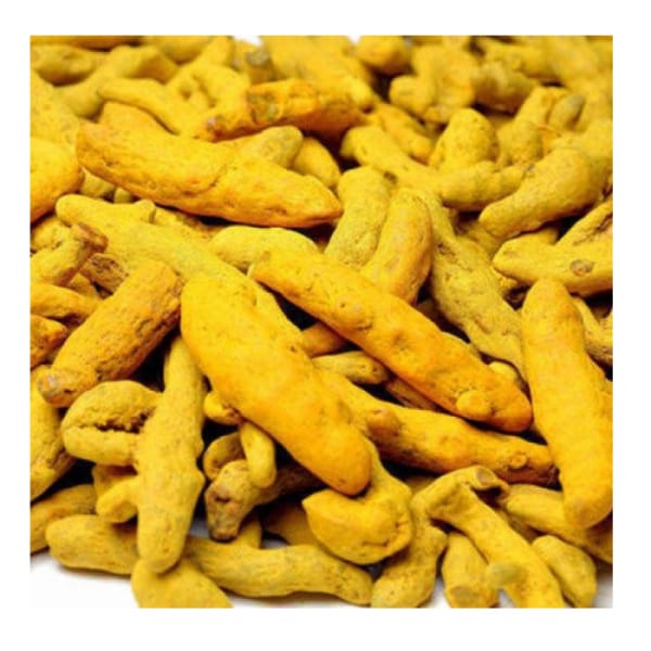 Arasin Kombu (Raw Turmeric Root) - Basaveshwarapoojabhandara.com